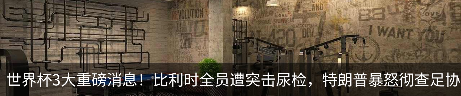 最新动态