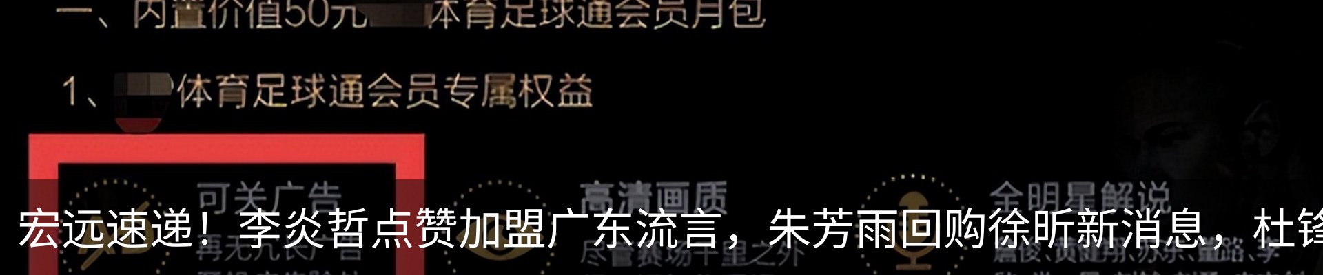 最新动态