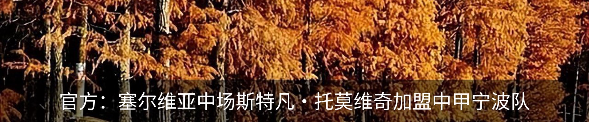 最新动态