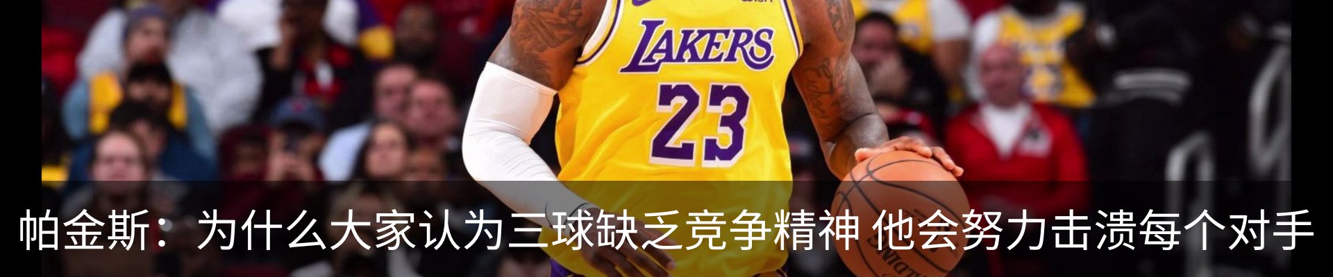 最新动态